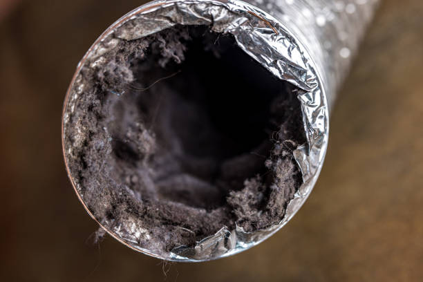 Best Ductwork Cleaning Services  in Wallace, FL